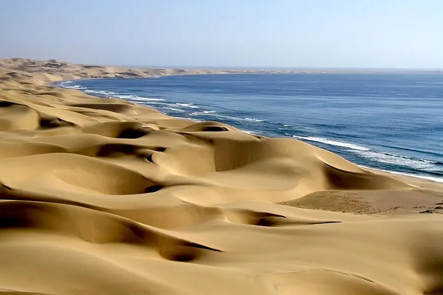 Skeleton Namibie Beatriz Aebischer
